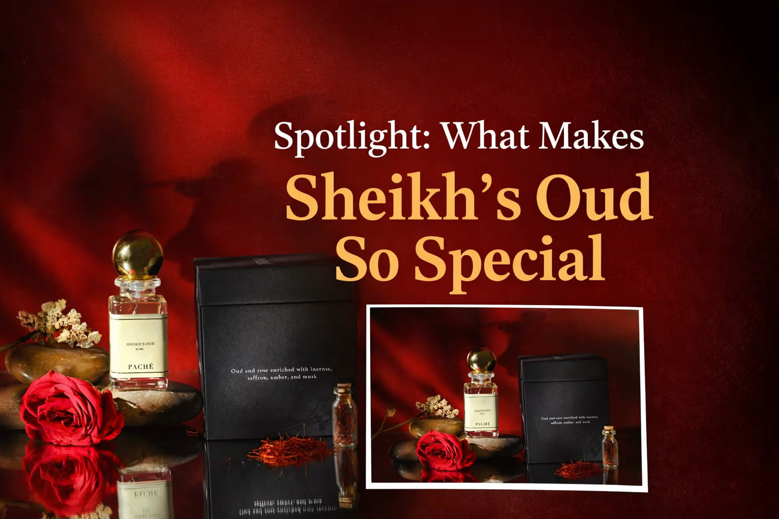 Spotlight: What Makes Sheikh’s Oud So Special